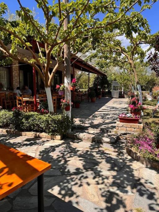 Family Woodland Oasis Vipgreece Apartment Kirinthos Exterior photo